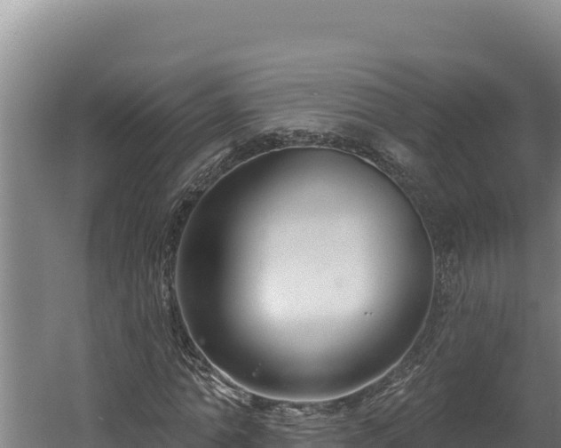 X0000060580774200511071044