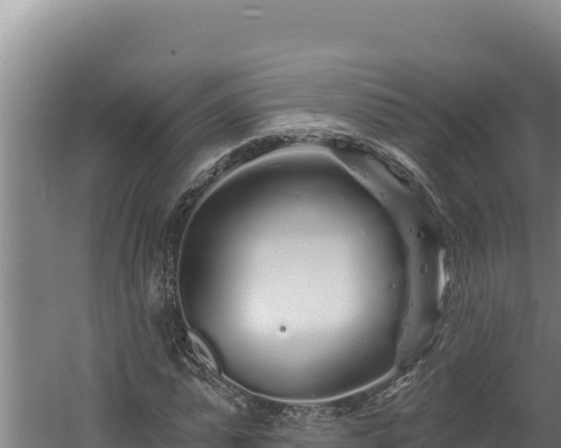 X0000060580775200511071044