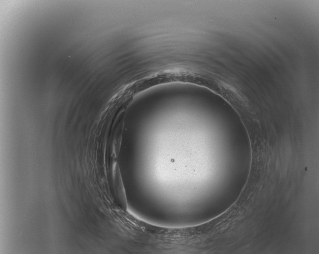 X0000060580776200511071044