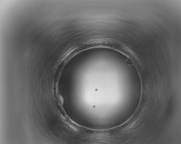 X0000060580778200511071044