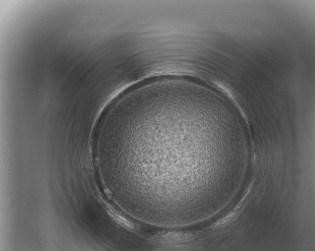 X0000060580779200511071044