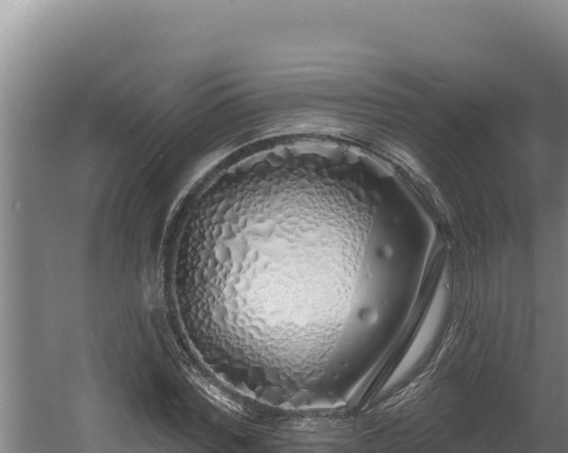 X0000060580780200511071044