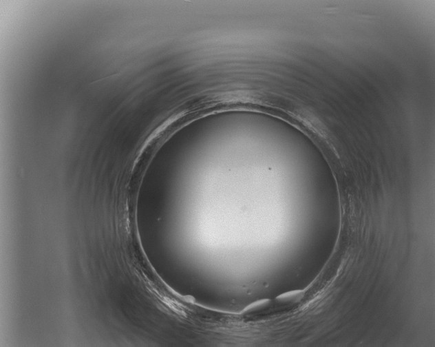 X0000060580782200511071044