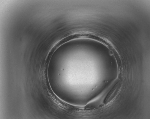 X0000060580783200511071044