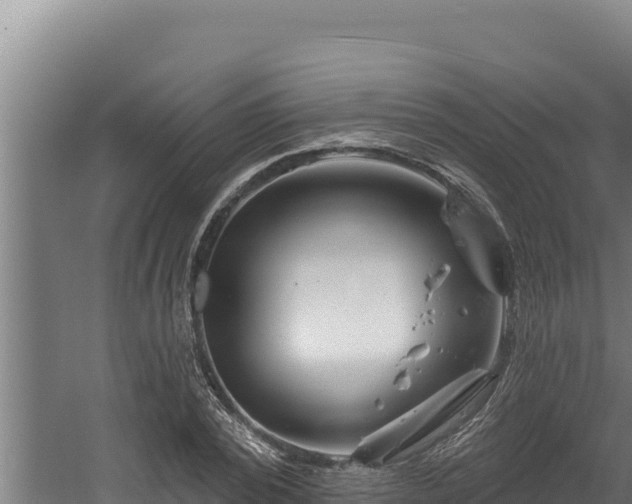 X0000060580784200511071044