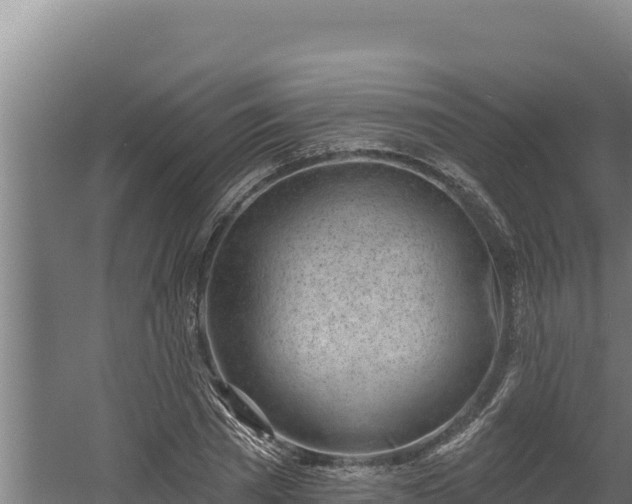 X0000060580785200511071044