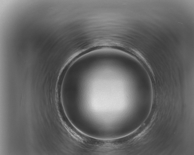 X0000060580787200511071044