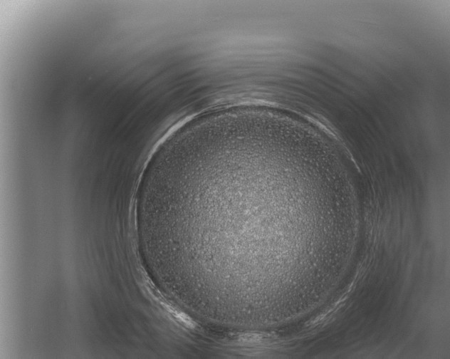 X0000060580790200511071044