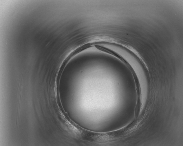 X0000060580791200511071044