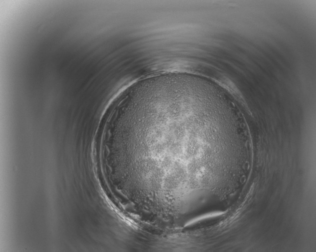 X0000060580798200511071044