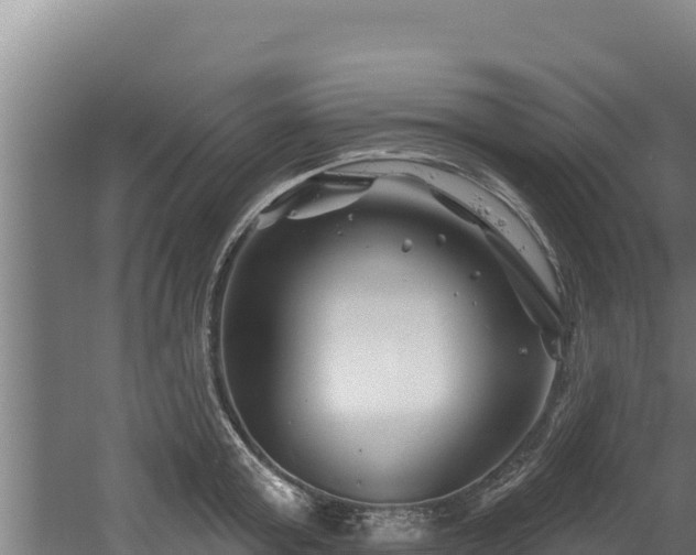 X0000060580803200511071044