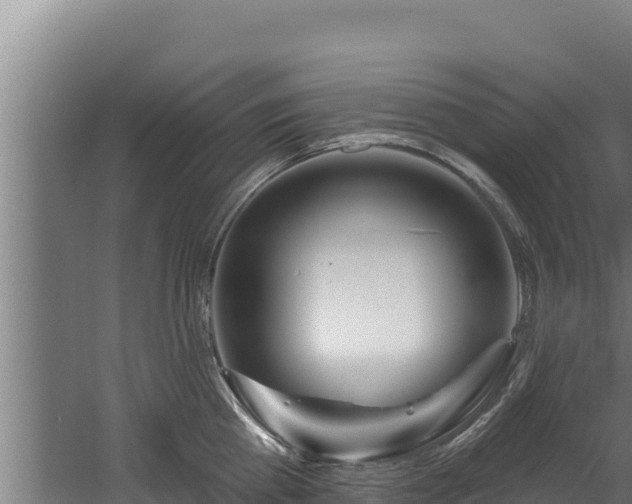 X0000060580809200511071044