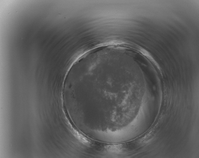 X0000060580810200511071044