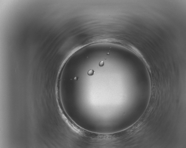 X0000060580811200511071044