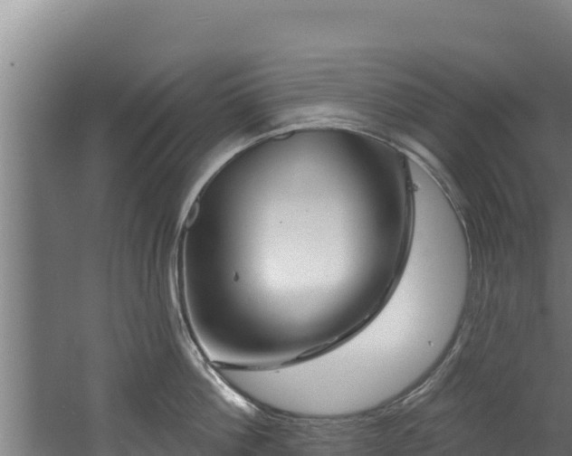 X0000060580812200511071044