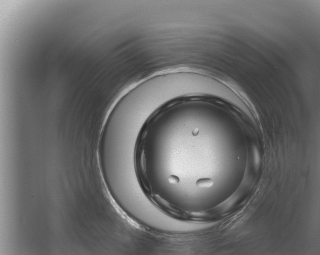 X0000060580813200511071044