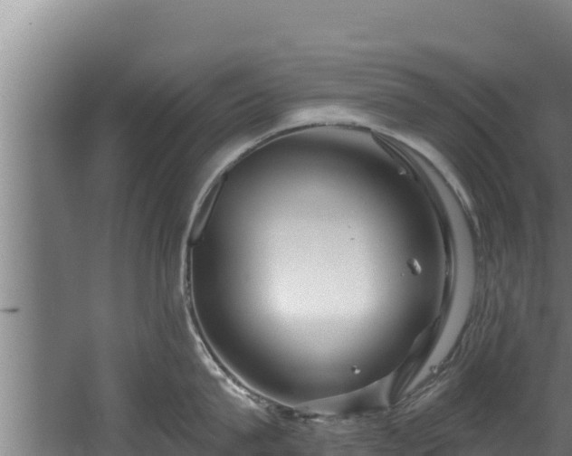 X0000060580815200511071043