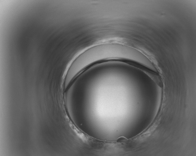 X0000060580816200511071043