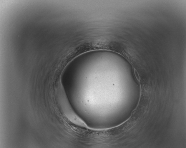 X0000060580817200511071043