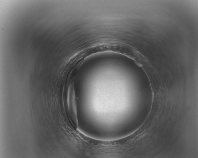 X0000060580822200511071043