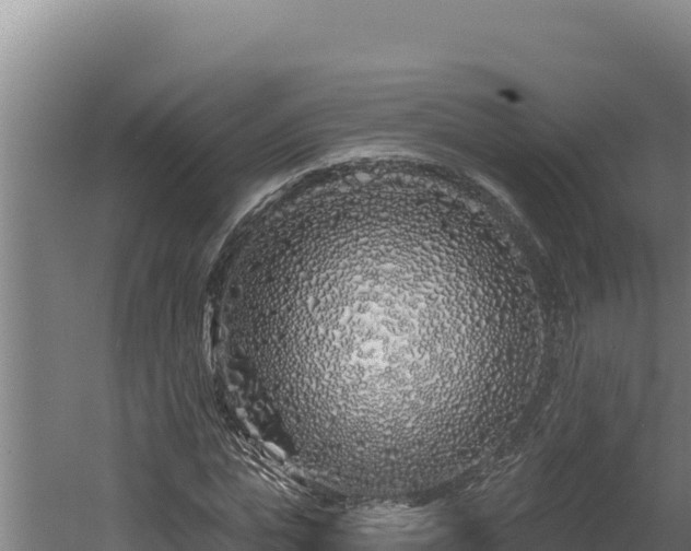 X0000060580823200511071043