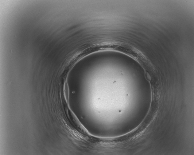 X0000060580825200511071043