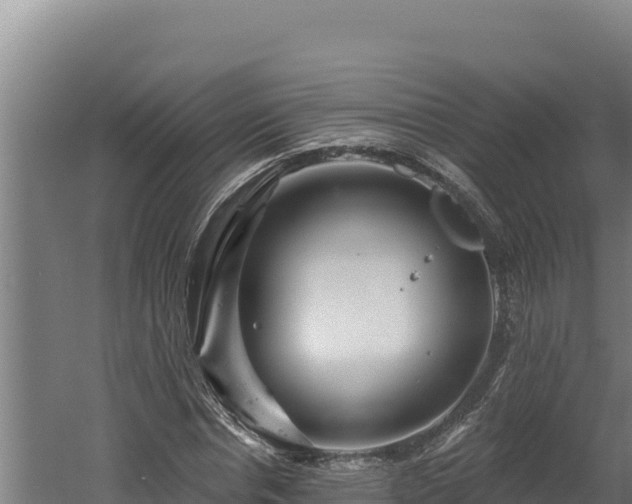 X0000060580826200511071043