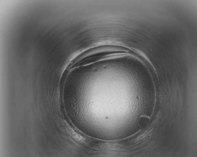 X0000060580831200511071043