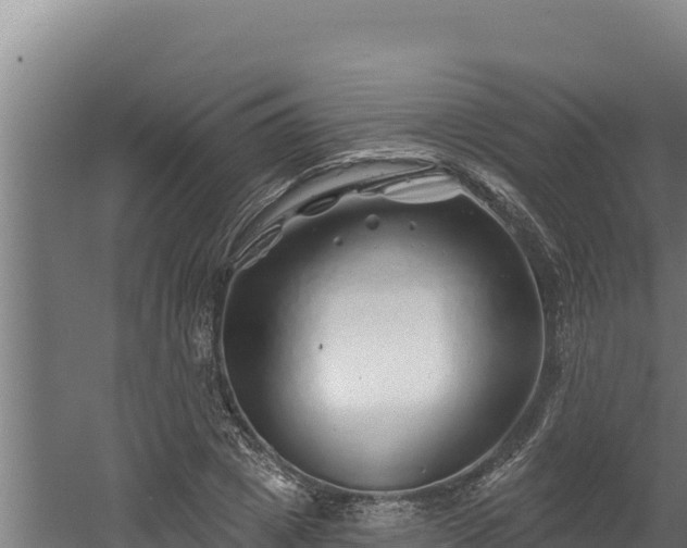 X0000060580833200511071043