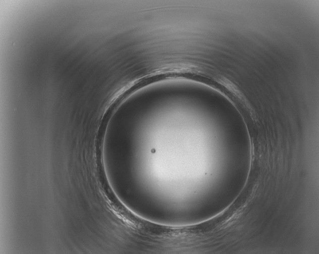 X0000060580834200511071043