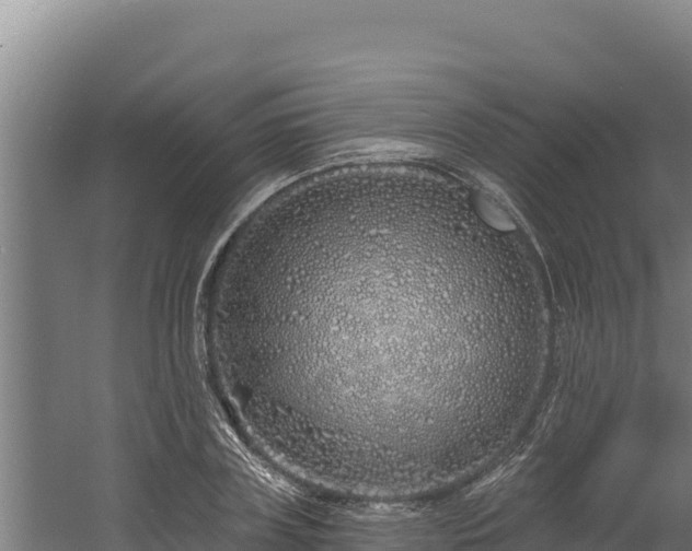 X0000060580835200511071043