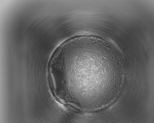 X0000060580839200511071043