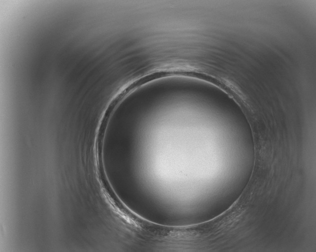 X0000060580840200511071043