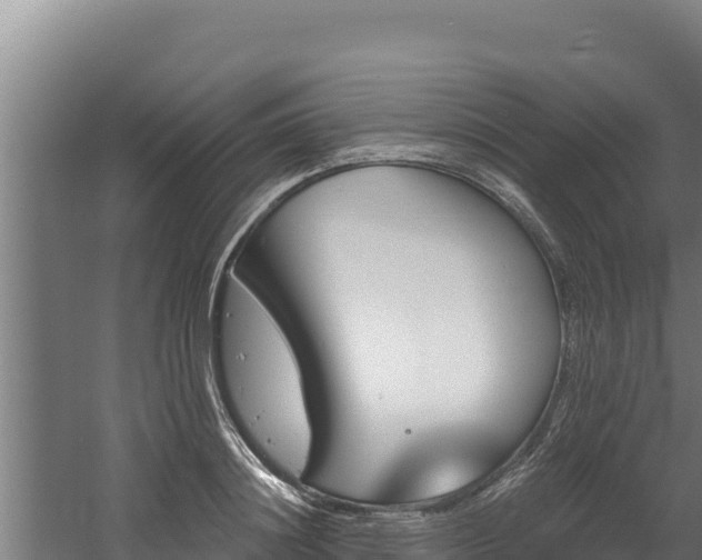 X0000060580844200511071043