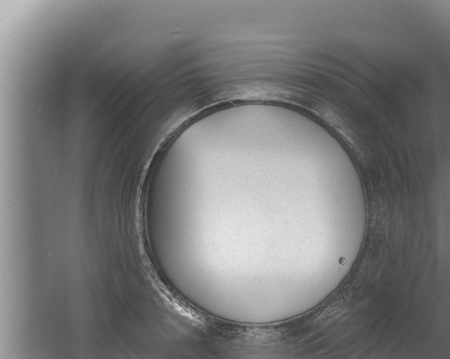 X0000060580848200511071043