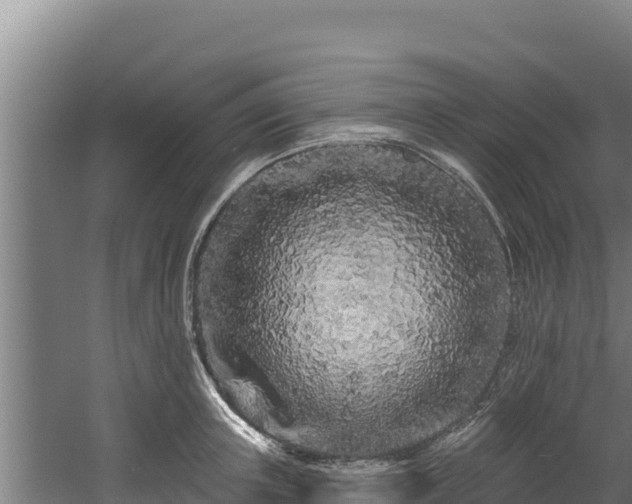 X0000060580851200511071043