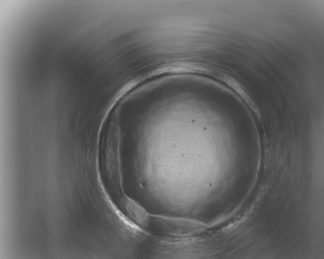 X0000060580853200511071043