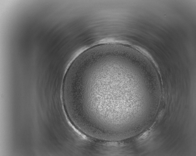 X0000060580855200511071043