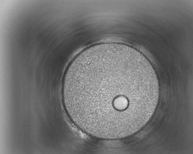 X0000060580856200511071043