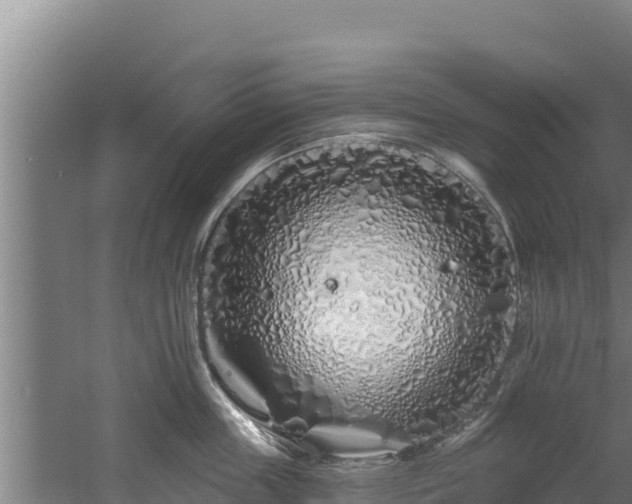 X0000060580859200511071043