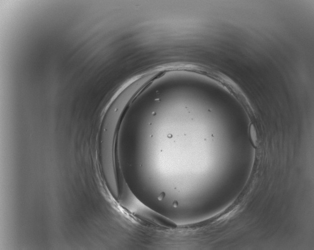 X0000060580860200511071043