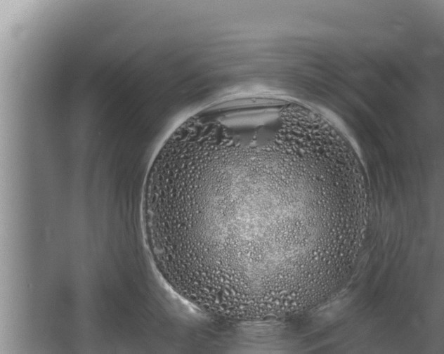 X0000060580863200511071043