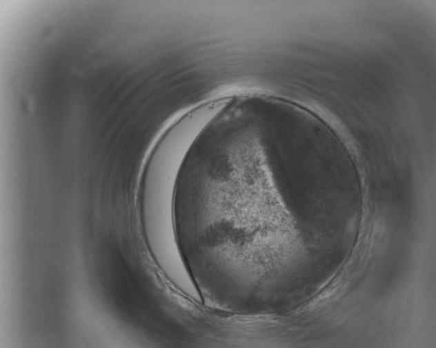 X0000060580864200511071043