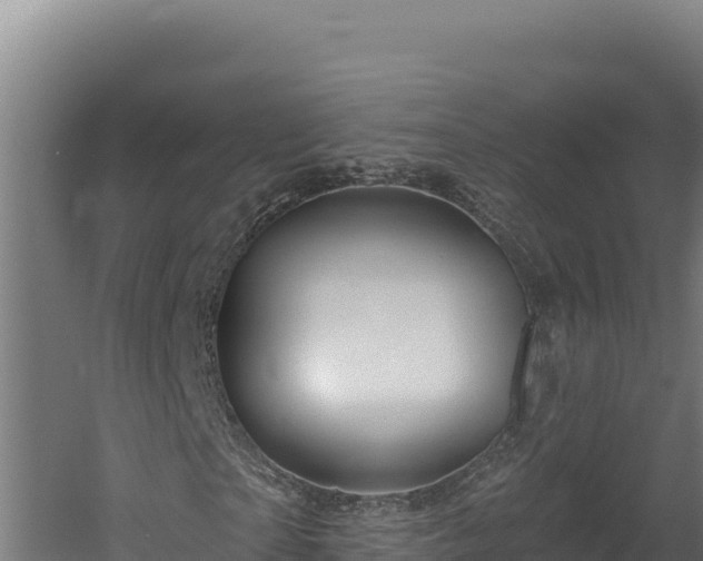 X0000060580865200511071043