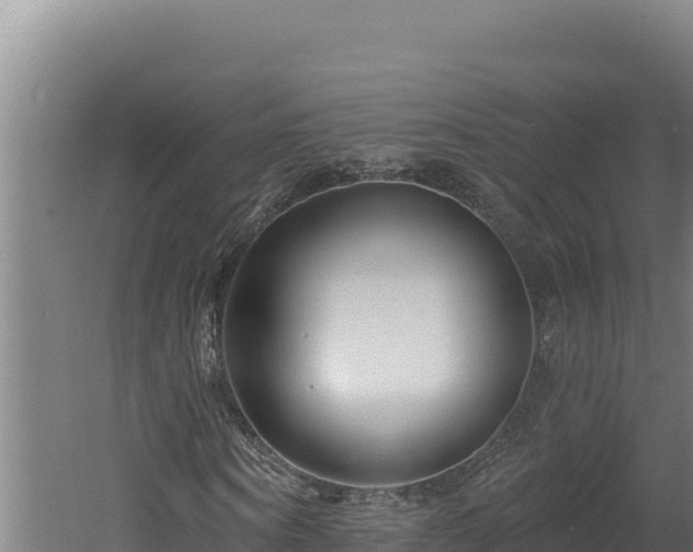 X0000060580866200511071043