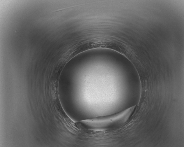 X0000060580868200511071043