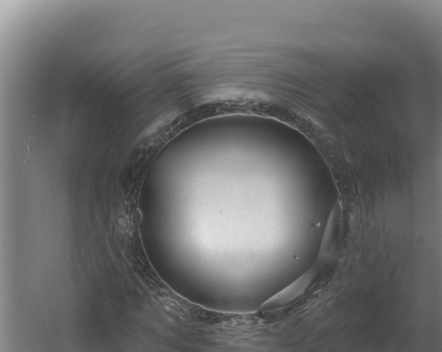 X0000060580869200511071043