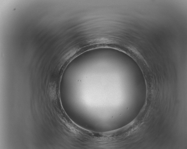 X0000060580873200511071043