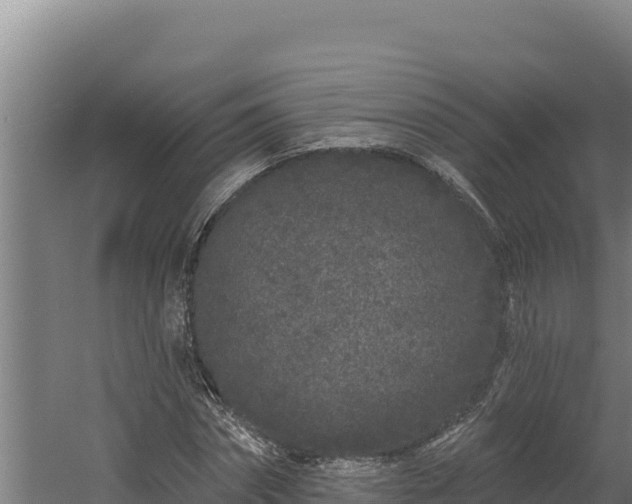 X0000060580874200511071042