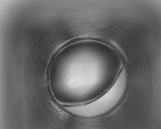 X0000060580876200511071042